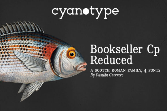 Bookseller Cp Reduced: A Serif Font for Clear, Compact Text