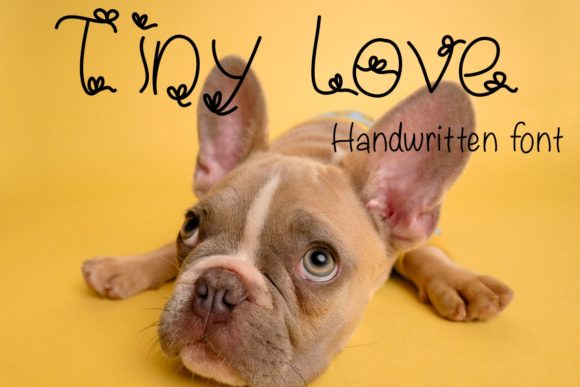 Tiny Love: A Modern Decorative Font That Elevates Every Design